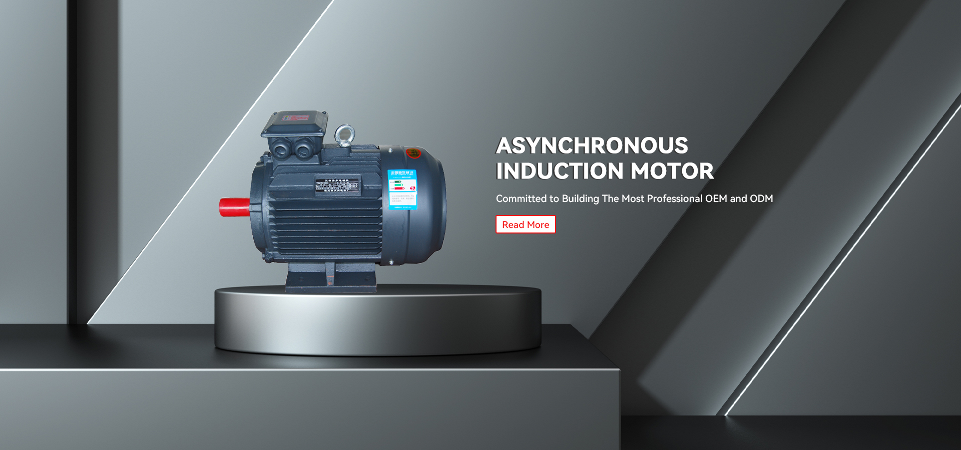 Asynchronous Induction Motor စက်ရုံ