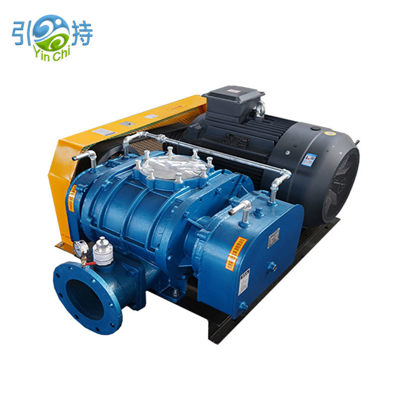 Negative Pressure Roots Vacuum Pump Blower သည် Full-Cycle Food Vacuum Packaging Workflows ကို မည်ကဲ့သို့ အကောင်းဆုံး လုပ်ဆောင်နိုင်သနည်း။