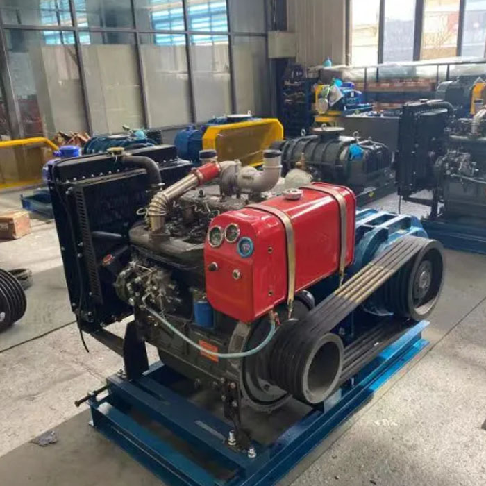 Diesel Low Pressure Roots Blower အမျိုးအစား