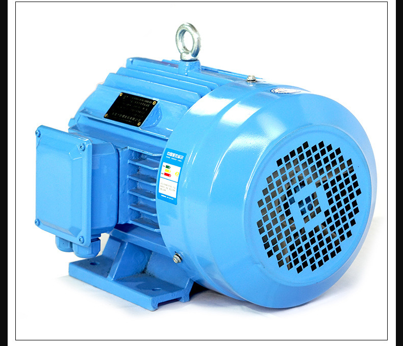 စွမ်းအားမြင့် AC Asynchronous Induction Motor