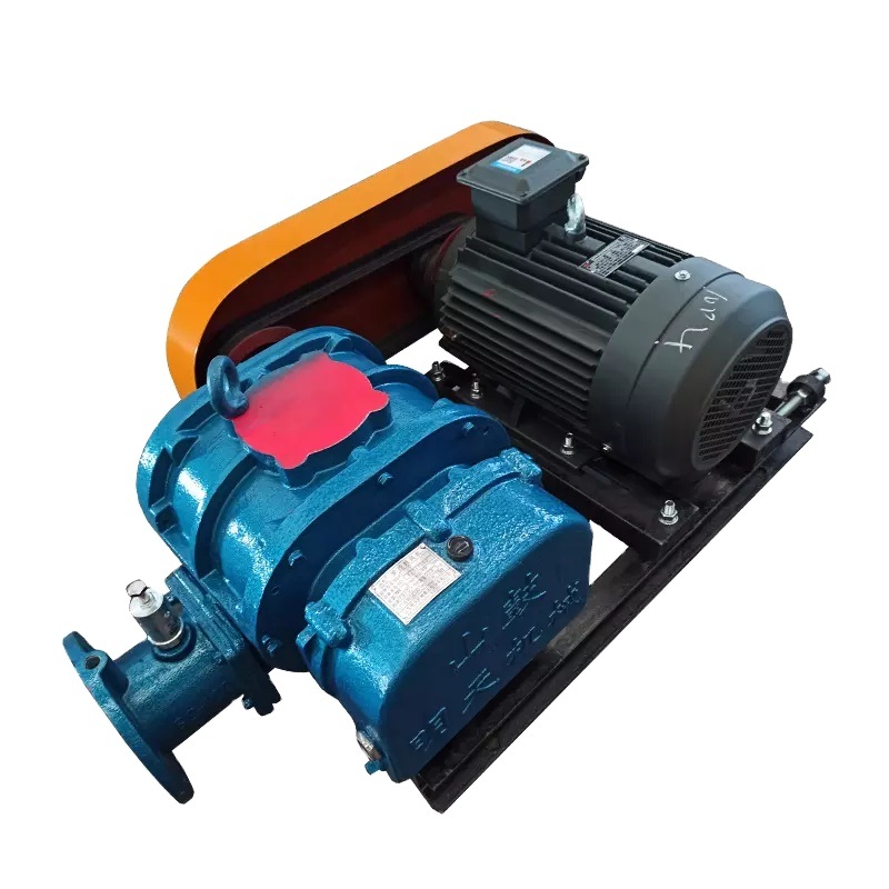 Low Noise Constant Speed ​​Three Lobe Rotor Roots Vacuum Pump